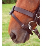 Shires Leather Flash Strap