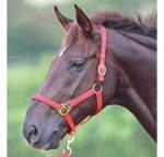 Shires Nylon Halter with Breakaway