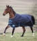 Shires Tempest 100g Turnout Blanket