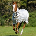 Shires Tempest Fly Sheet