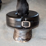Shoe Boil Ring Boot for Horses by Partrade