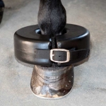 Shoe Boil Ring Boot for Horses by Partrade