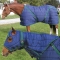 Snuggie Pony Stable Blanket-Black