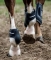 Thinline Ankle Schooling Boots