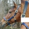 Thornhill Padded Chafeless Breakaway Halter