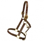 Tory Leather 1" Triple Stitched Halter with Flat Throat