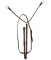 Tory Leather Bridle Leather Lateral Fork with Nickel Hardware