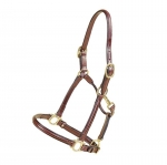 Tory Leather Raised Halter with Adjustable Nose and Throat Snap