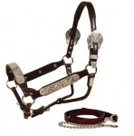 Tory Leather Rochester Congress Silver Show Halter w/Lead