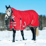 Weatherbeeta Comfitec Classic Combo Neck HEAVY Weight Turnout Blanket