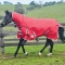 Weatherbeeta Comfitec Classic Combo Neck Medium Weight Turnout Blanket