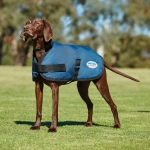 Weatherbeeta Comfitec Classic Dog Coat