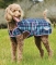 Weatherbeeta Comfitec PREMIER FREE Parka Deluxe Dog Coat Medium - Plaid