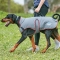 Weatherbeeta Comfitec PREMIER FREE Parka Deluxe Dog Coat Medium - Grey/Burgundy