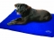 Weatherbeeta Dog Bed