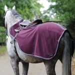 Weatherbeeta Exercise Fleece Quarter Sheet