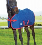 WeatherBeeta Original 1200D Foal Blanket