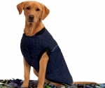 Weatherbeeta Puffer Dog Coat, Navy, 18