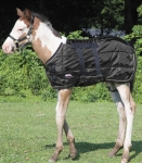 Weaver 420D Foal Stable Blanket