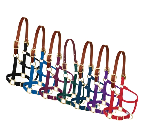 padded breakaway halters for horses padded breakaway halters for horses