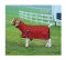 Weaver Leather ProCool Mesh Goat Blanket with Reflective Piping