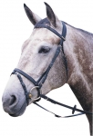 WINTEC FLASH BRIDLE