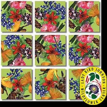 B Dazzle American Native Flowers Scramble Squares 9 Piece Puzzle