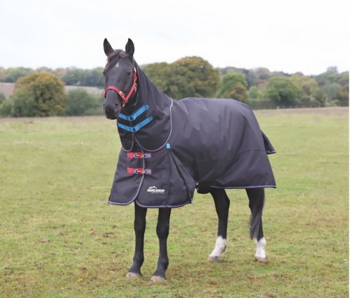 Shires Stormcheeta 2000D Turnout Blanket 200G, 